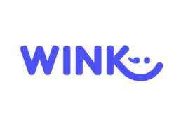 Wink Logo